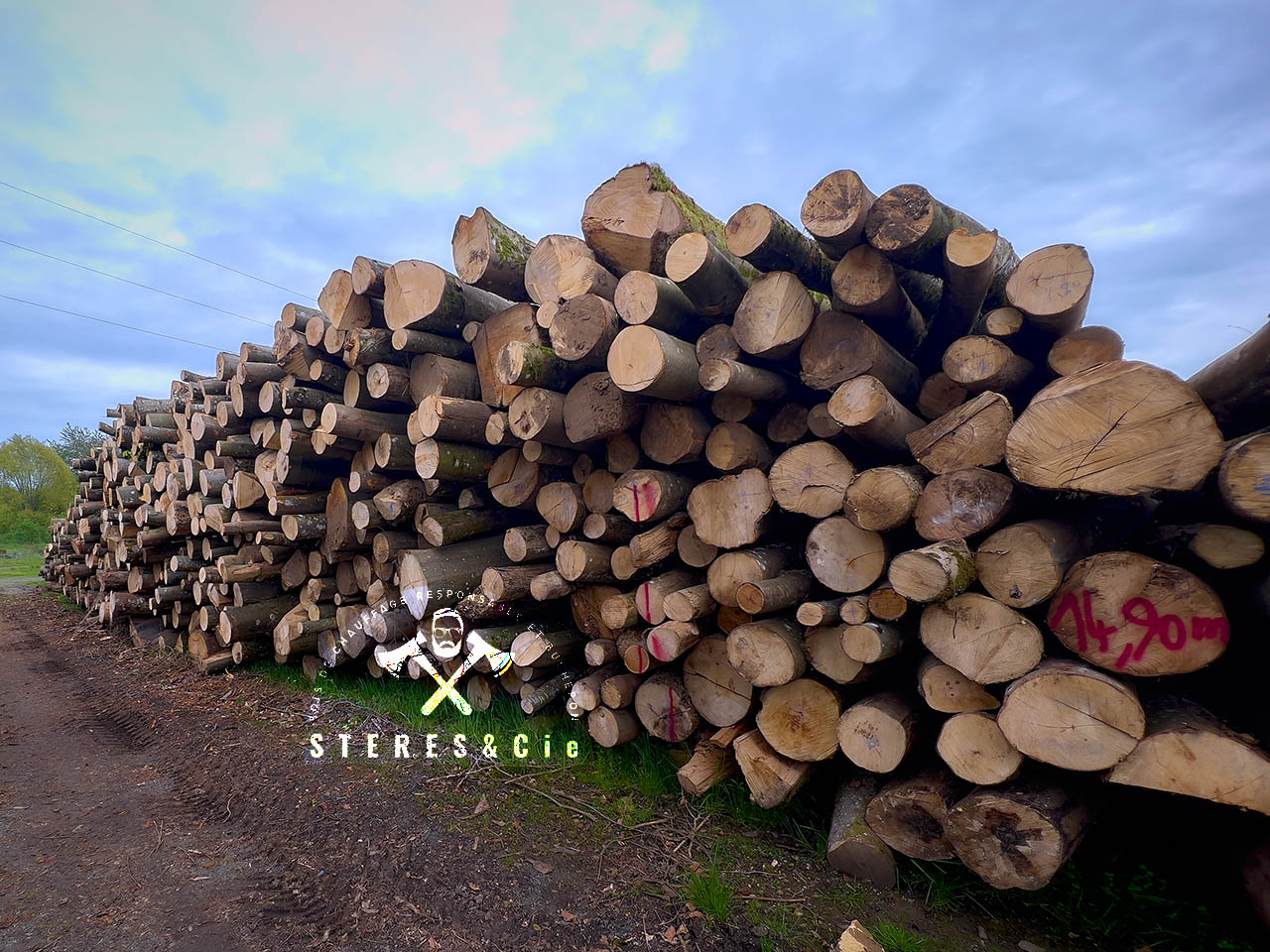 GRUMES_BOIS_DE_CHAUFFAGE_STERES_ET_CIE_