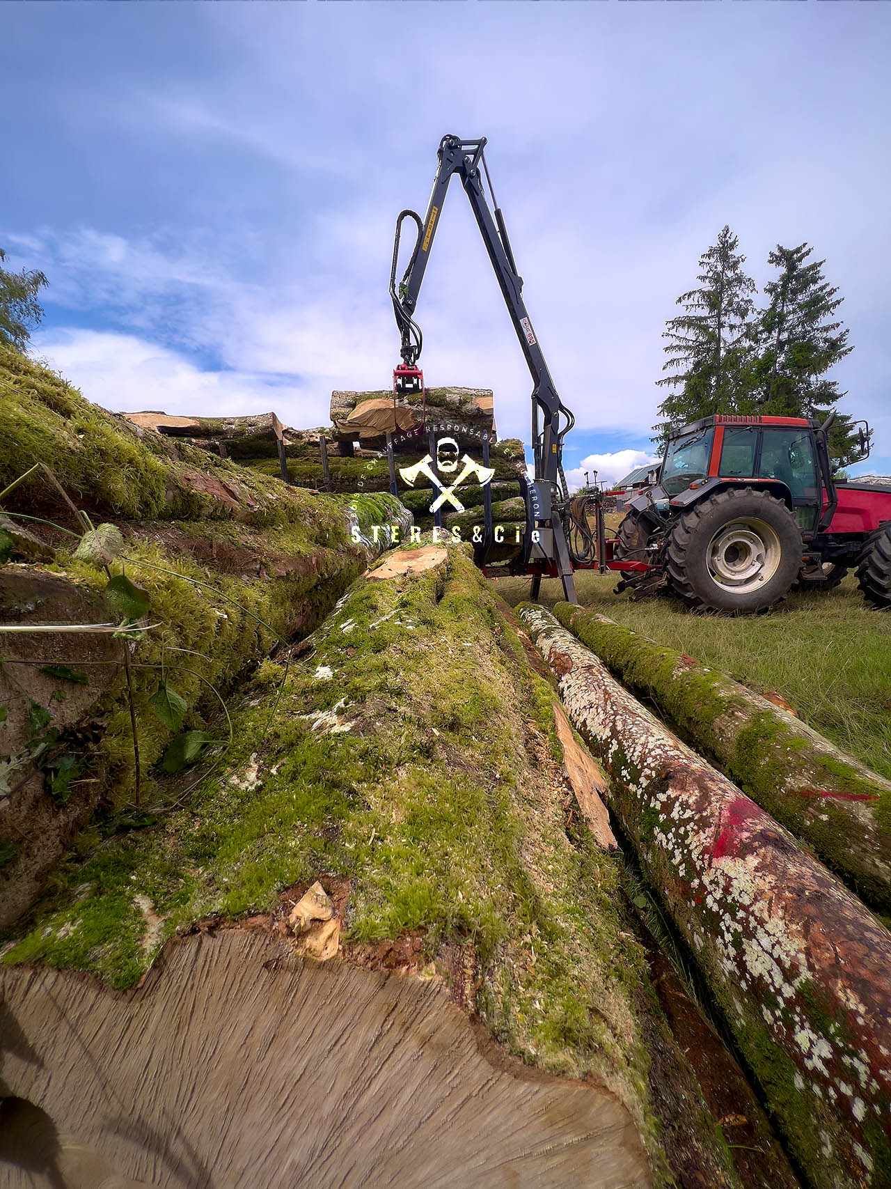 GRUMES_BOIS_DE_CHAUFFAGE_STERES_ET_CIE_